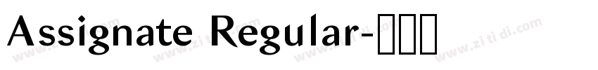 Assignate Regular字体转换